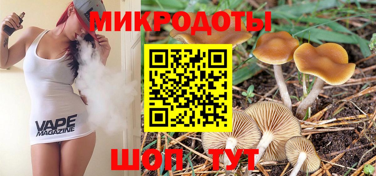 Псилоцибиновые грибы Psilocybine cubensis Тавда